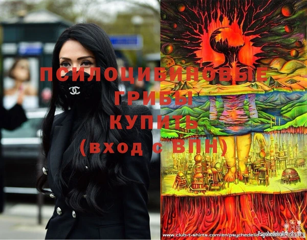 дурь Абаза