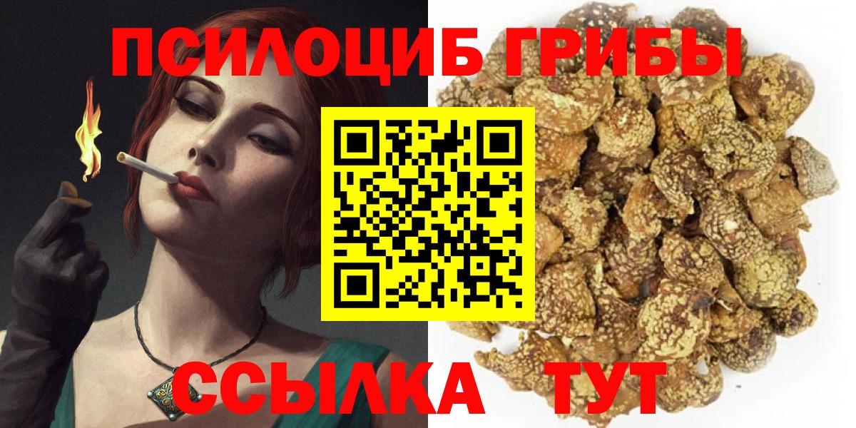 Галлюциногенные грибы Psilocybine cubensis Фрязино